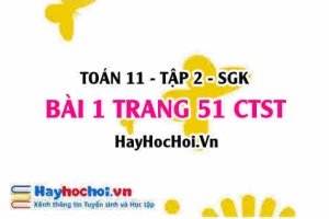 Bài 1 trang 51 Toán 11 tập 2 Chân trời sáng tạo